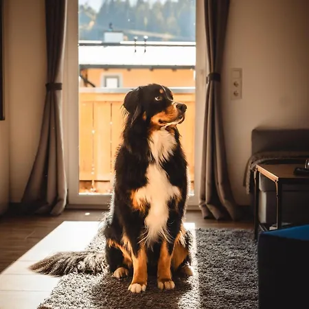 Haus Faninger Appartamento Kaprun