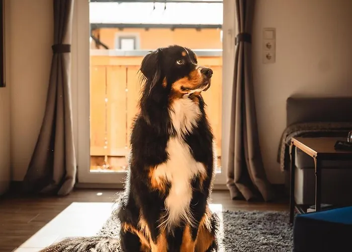 Haus Faninger شقة كابرون